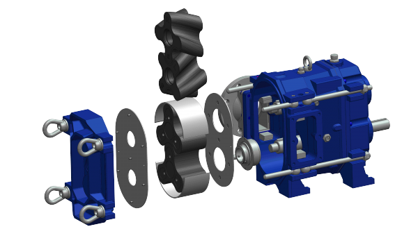 Rotary lobe pump